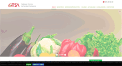 Desktop Screenshot of gtsambiental.com